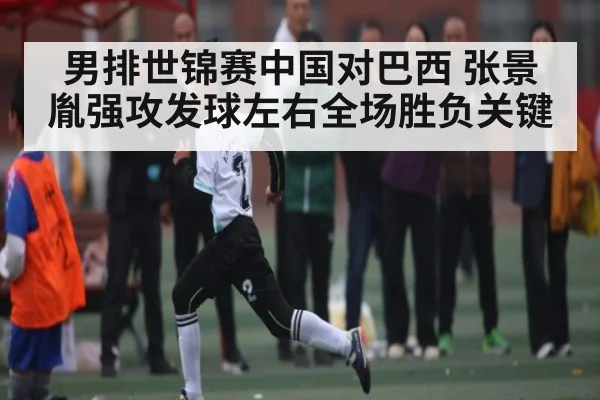 男排世锦赛中国对巴西 张景胤强攻发球左右全场胜负关键